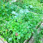 Luxussátor Atelier & Gardenhouse Glamping München