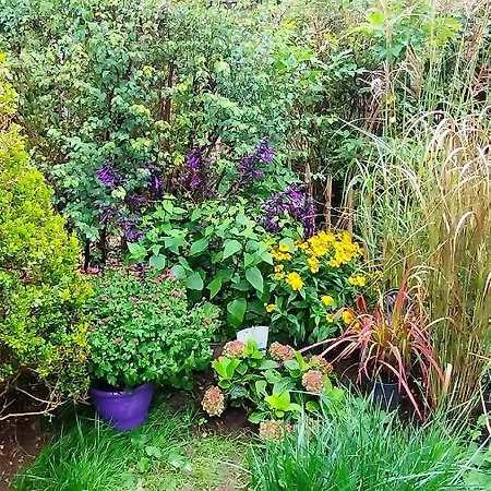 Atelier&gardenhouse