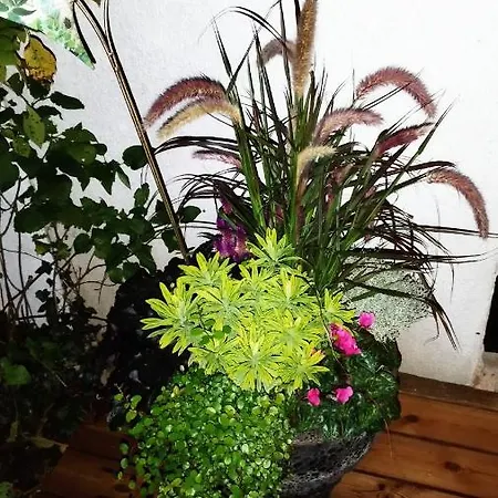 Luxury tent Atelier & Gardenhouse Glamping Munich